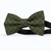 Papion personalizat, model carouri, culori specifice Craciunului, verde, rosu